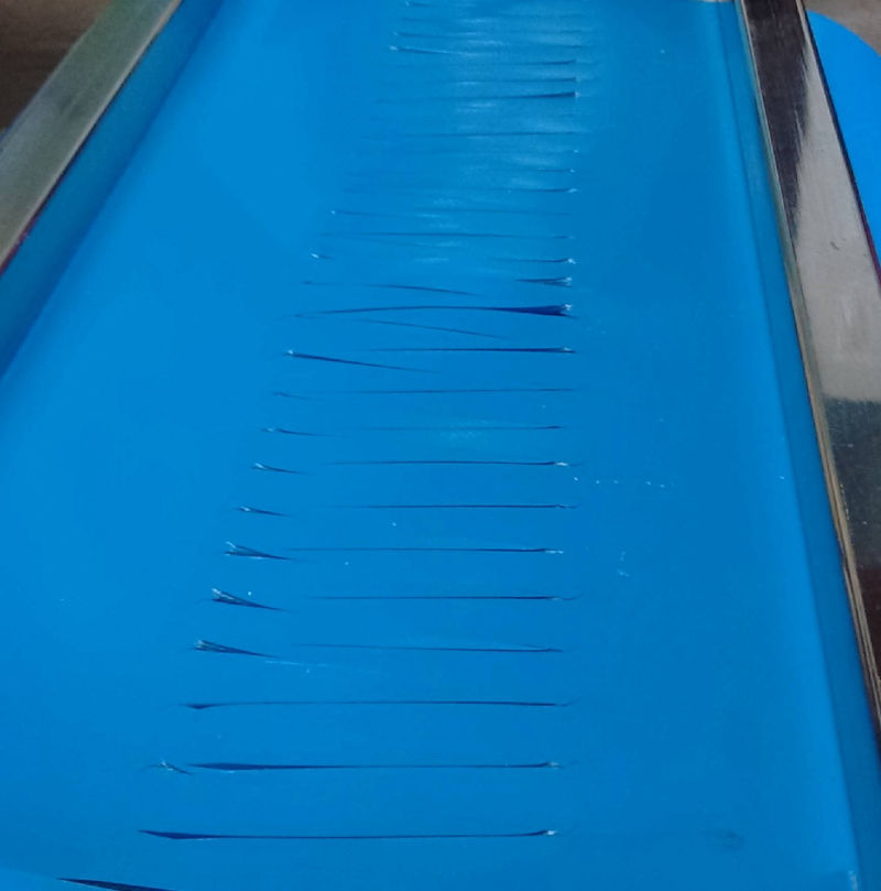 blue non microbial bakery belt